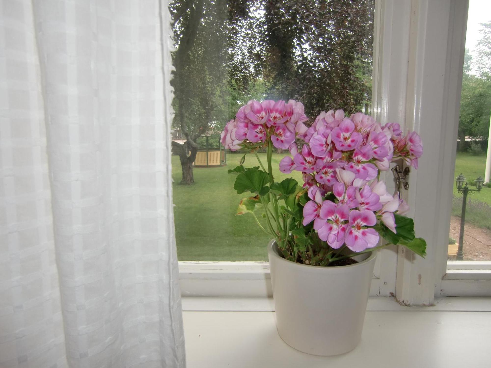 Hagaborg Bed & Breakfast Köpingsvik 외부 사진