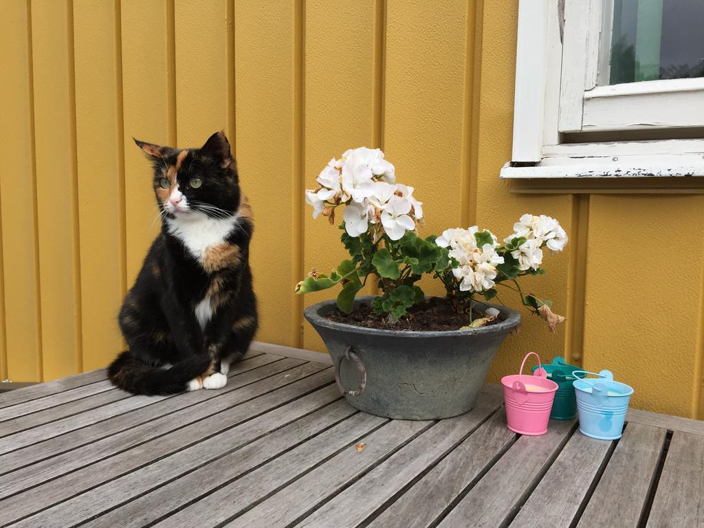 Hagaborg Bed & Breakfast Köpingsvik 외부 사진